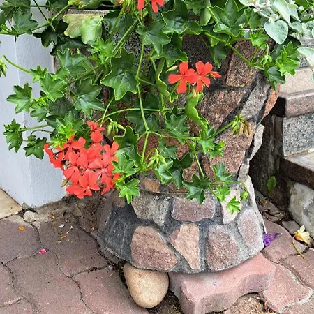 Sveciu Namai Audra Gasthuis *