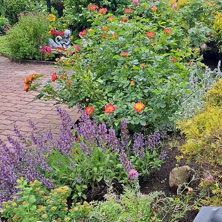 Gasthuis Sveciu Namai Audra *