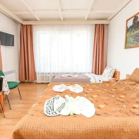 Guest house Sveciu Namai Audra