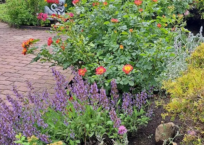 Гостьовий будинок Sveciu Namai Audra *